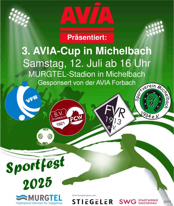 3. AVIA-Cup